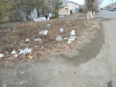 Показали гостям свое свинство 