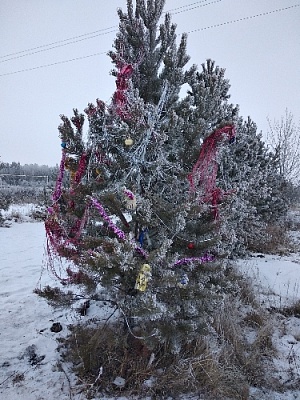 Приберите новогоднюю мишуру