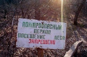 Входить и въезжать в леса строго запрещено!