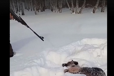 Горе-охотники могут сесть на пять лет