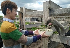 Корейский международник посетил Нагайбакский район