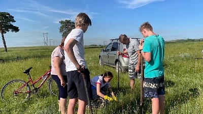 Здесь будет лес