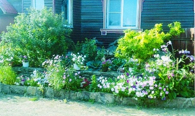 Красота на улице Зелёной