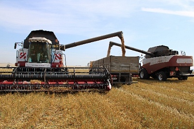 На финишной прямой