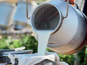 Куда потекут молочные реки в Нагайбакском районе?