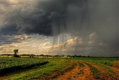 Какая погода будет на выходные в Нагайбакском районе?