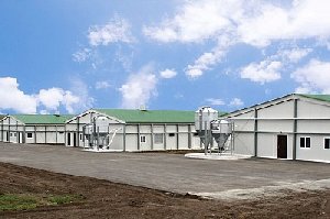 Нагайбакский птицекомплекс не прошёл проверку Россельхознадзора