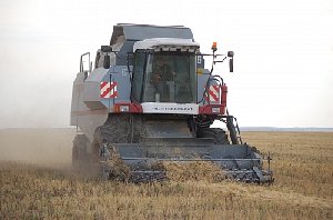 Уборка в промежутках между дождями