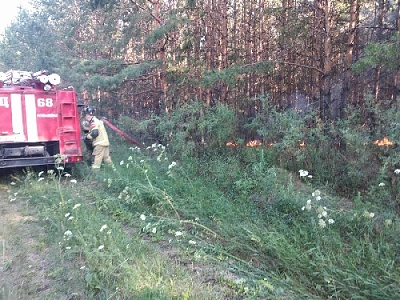 Пожарные быстро отреагировали на сигнал спортсменов 