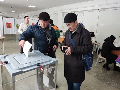 Почти треть избирателей Нагайбакского района проголосовали на выборах 