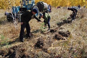 А ты посадишь Дерево добра?