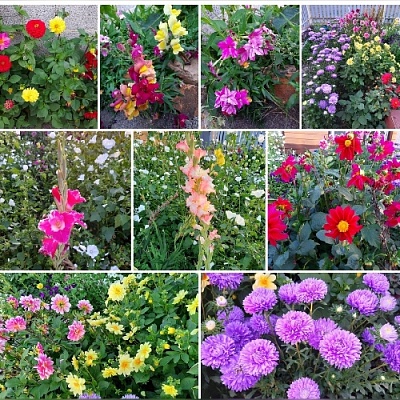 Кто она, цветочная фея?