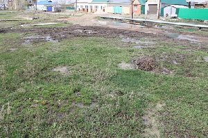 Кто приберётся в Куликовке? Суд признал незаконными местные  Правила благоустройства 