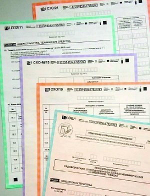 Скоро посчитают и коров, и поросят