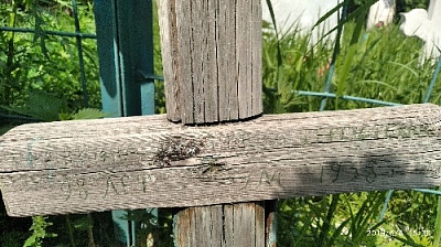 Судьба семьи в судьбе страны