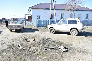 Вот так борются с болезнями животных...