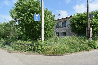 Зелёный пожар