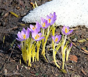 Наконец наступает оттепель