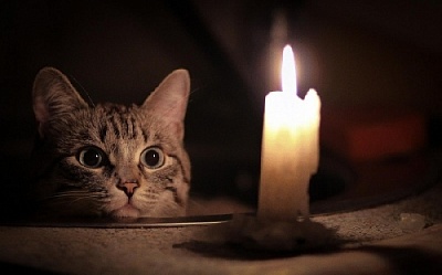 Что случилось со светом в Фершампенуазе и других сёлах?