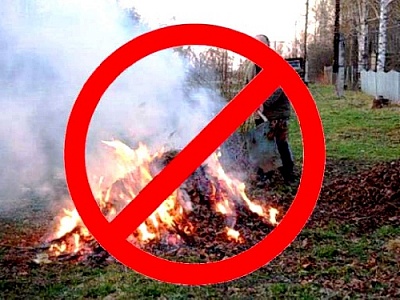 Не жгите старую листву и мусор!