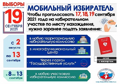 Проголосовать можно будет на любом участке