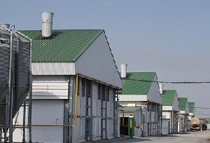 Благоустройство продолжается