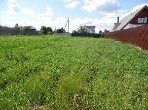 Срочно оформи свои сотки!