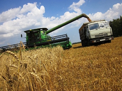 Жатва-2020 - похвалиться нечем