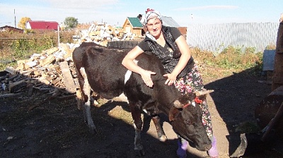 Корова Ириска принесла уверенность в завтрашнем дне домохозяйке из Арсей