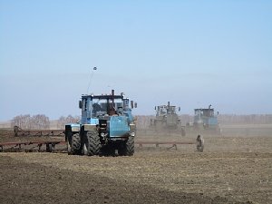 Сельхозпроизводителям Нагайбакского района выплатят субсидии