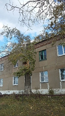 Дерево пробило окно в жилом доме 