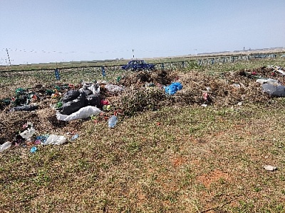 Мёртвые сраму не имут?