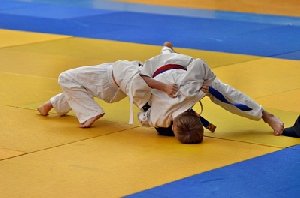 Состоялись поединки на татами