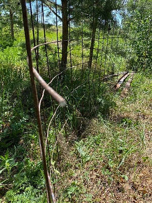 В парке Поколений снова пытались украсть ограждение 