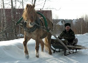 К телеге прикрепят номера, извозчику дадут права