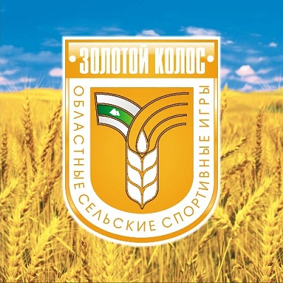 17-е место из 22-х команд