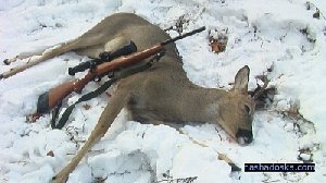 В Нагайбакском районе орудуют браконьеры