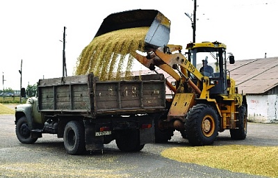 Лидер по урожайности в районе