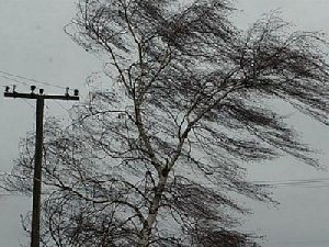 Снова грозы и ветер?