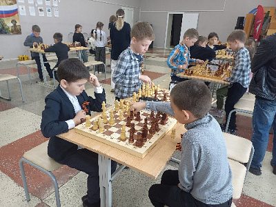 Состязались шахматисты