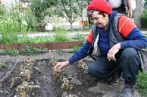 До свиданья, лето!