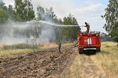Запрещено разводить костры и выжигать сухую растительность