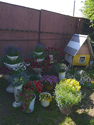 «Цветы люблю с детства»