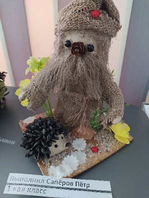 Школьники из Нагайбакского района стали победителями и призёрами регионального конкурса