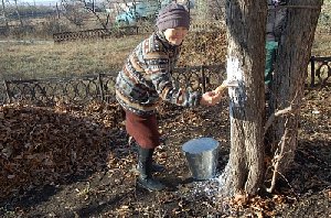 В п. Гумбейский Нагайбакского района поддержали идею Дубровского