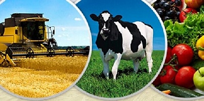 Россия на 16% нарастила в текущем году экспорт продукции АПК