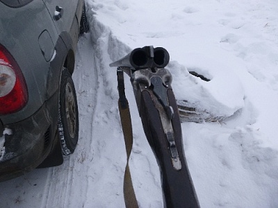 Житель Магнитогорска ответит за незаконный отстрел косуль