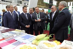 Нагайбакский птицекомплекс - золотой призёр