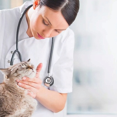 Ваша профессия является одной из самых благородных и гуманных.