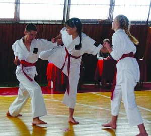 Постигая боевое искусство